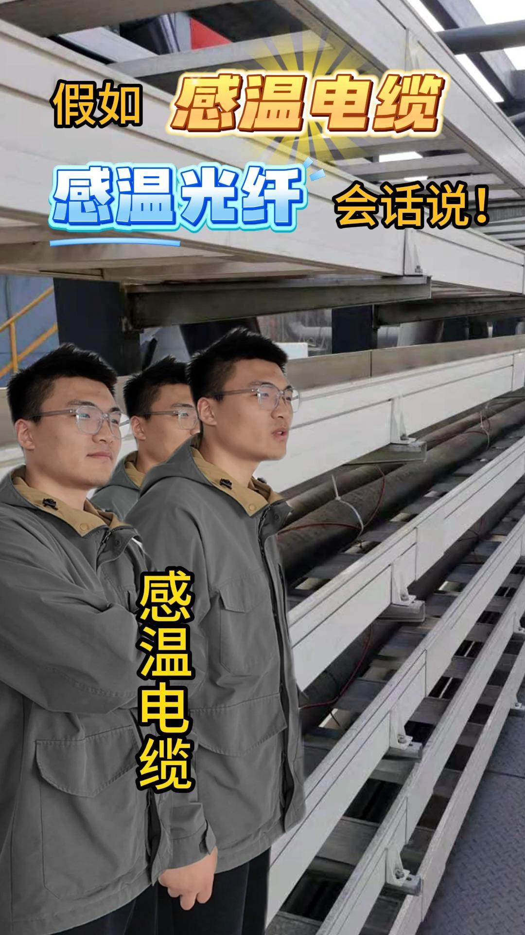 假如感温电缆和感温光纤会说话 一场来自工业血管的深夜对话